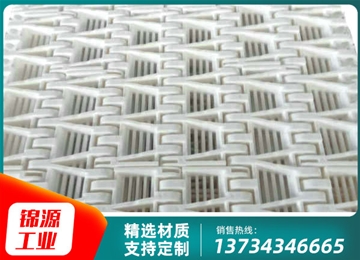OPB塑料網帶